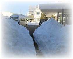 大雪1.jpg