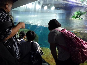 水族館育美会.JPG