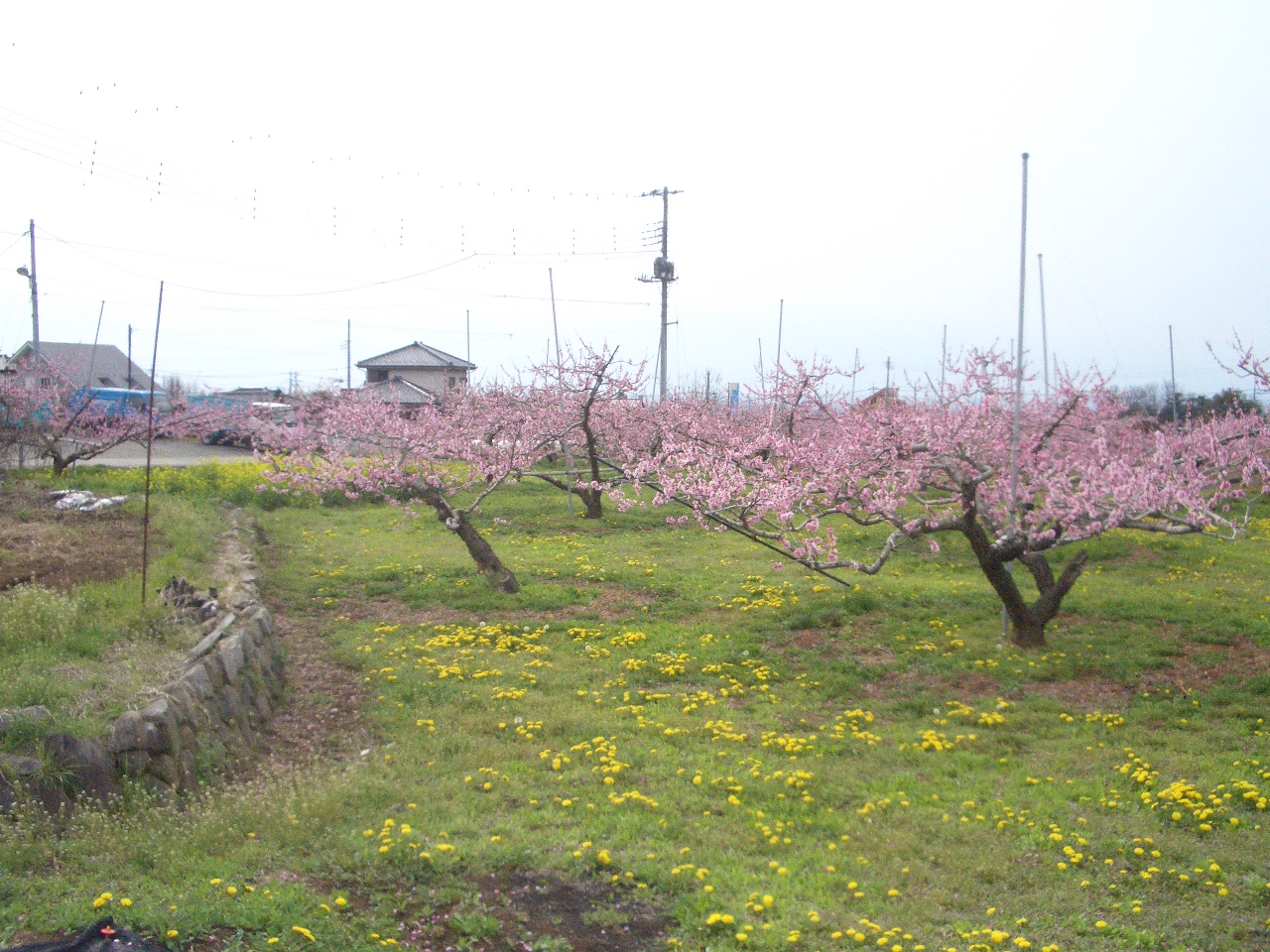 画像 20120416 130.jpg