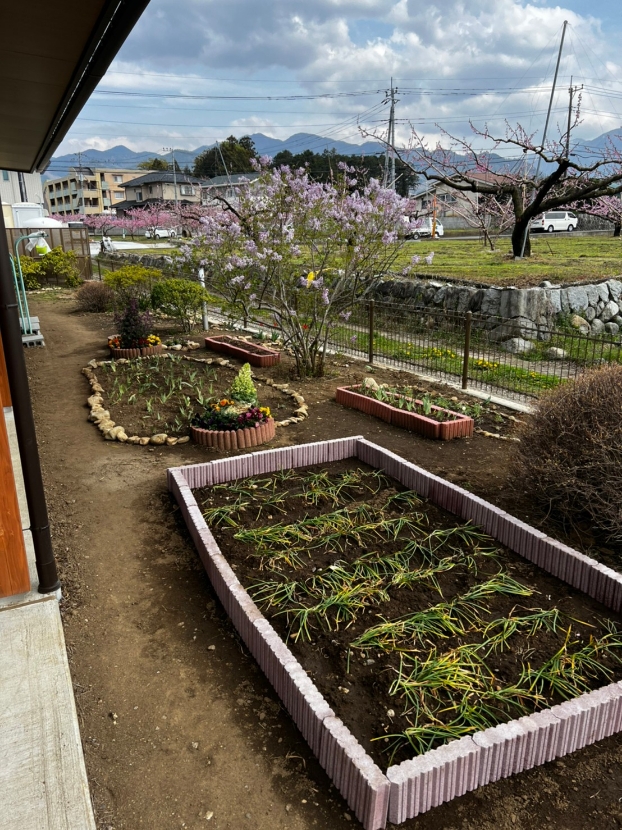 花植え?.jpg