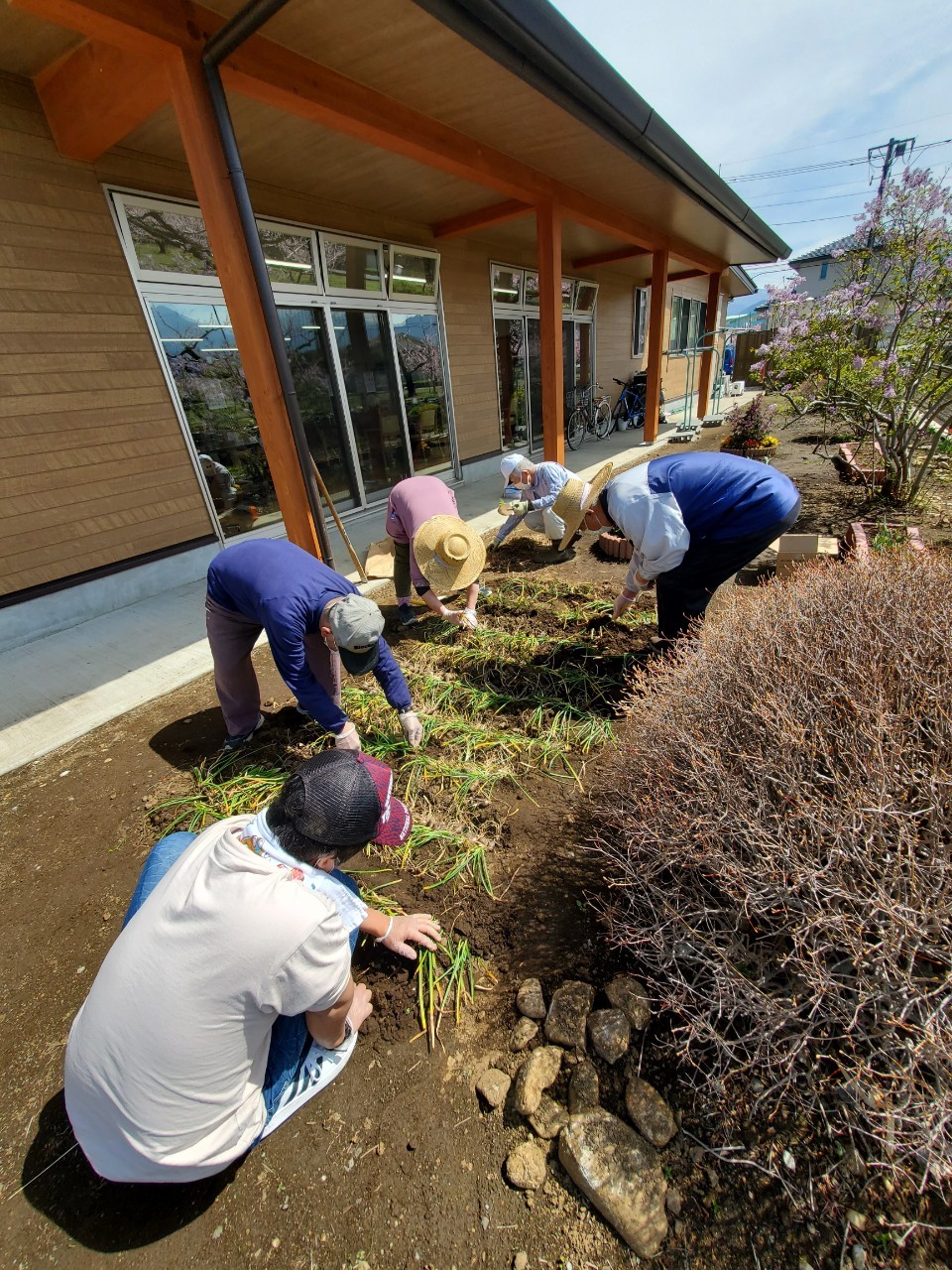 花植え?.jpg