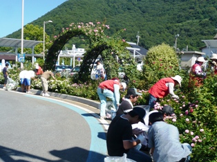 8.4　駅前　村松 (20).JPG