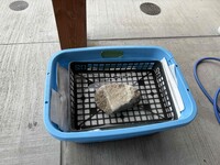 IMG_2349.JPG